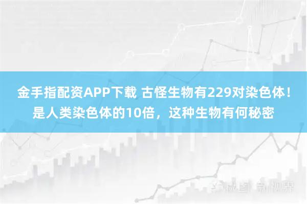 金手指配资APP下载 古怪生物有229对染色体！是人类染色体的10倍，这种生物有何秘密