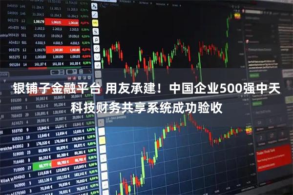 银铺子金融平台 用友承建！中国企业500强中天科技财务共享系统成功验收